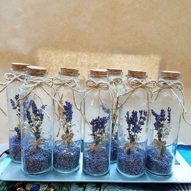 Lọ thủy tinh hoa khô Lavender ( lọ ước nguyện) | BigBuy360 - bigbuy360.vn