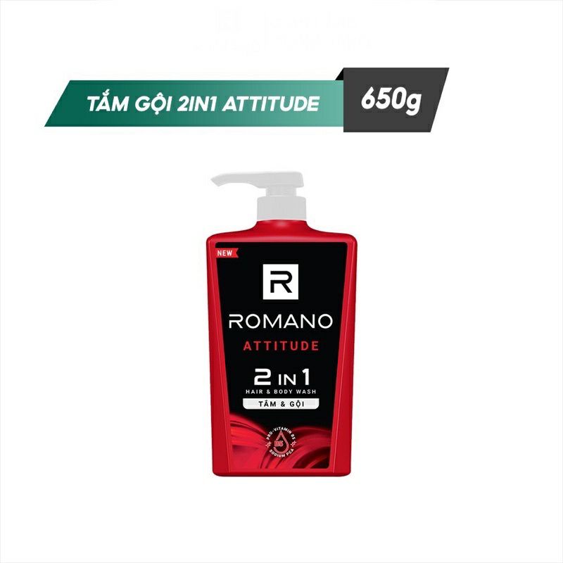 Tắm gội ROMANO 2in1