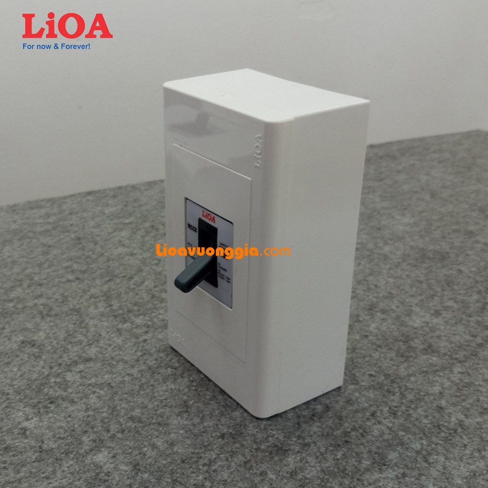 Combo cầu dao tự động an toàn APTOMAT LiOA 30A loại 2 cực 2 tiếp điểm - Lắp nổi lớn