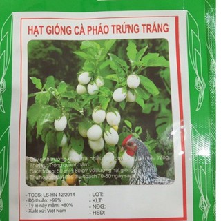 Hạt Giống Cà Pháo Trắng Cao Sản - Gói 1gram