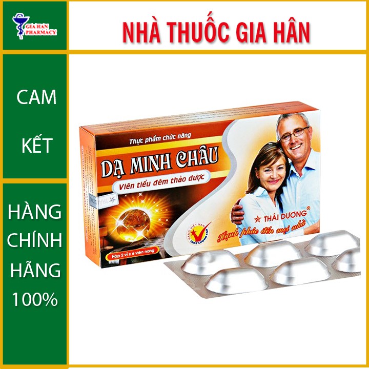 Viên tiểu đêm thảo dược Dạ Minh Châu 12 viên - Giúp ôn bổ thận dương, giảm đau mỏi lưng, tiểu đêm nhiều lần - GIA HÂN