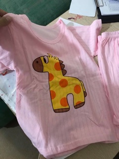 Combo 55b cotton giấy qc 73-110