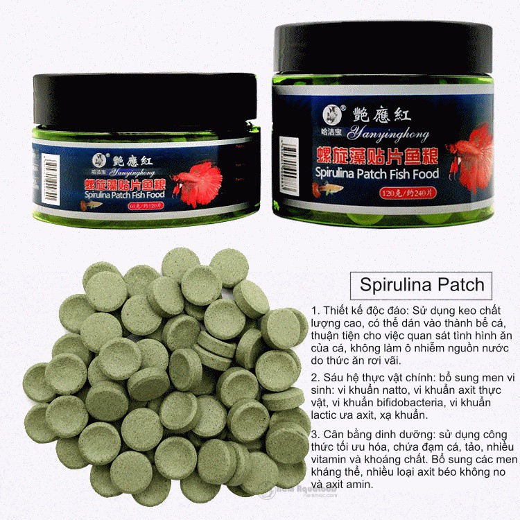 Thức Ăn Dán Spirulina Patch Fish Food ☘ Thức Ăn Tảo Viên Spirulina ☘ Bổ Sung Chất Sơ Và Vitamin Cho Cá Tép Cảnh