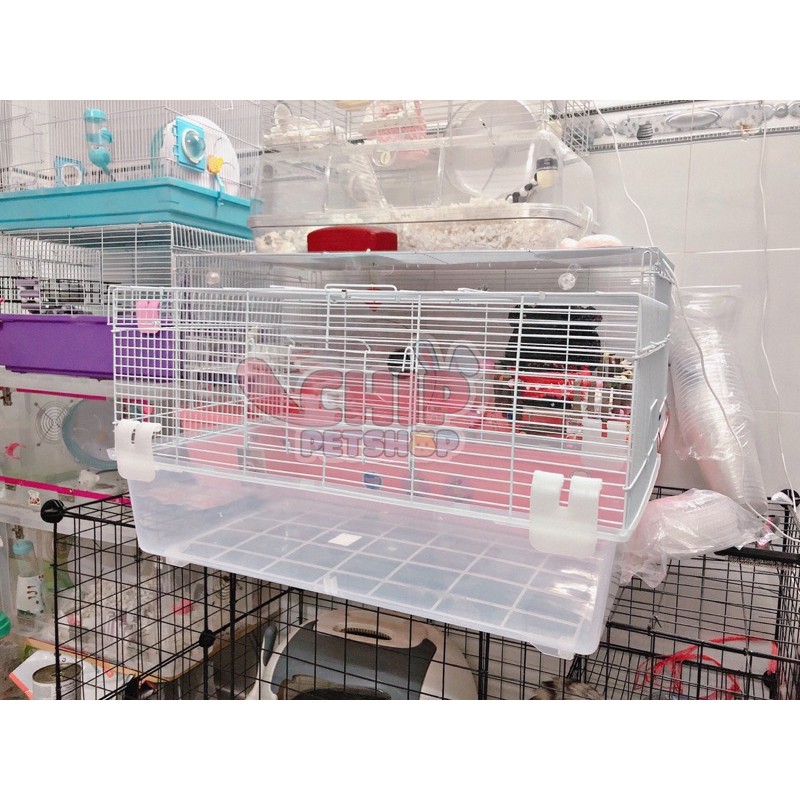 Lồng hamster 60cm [Không Phụ Kiện] Vui lòng đọc kĩ thông tin