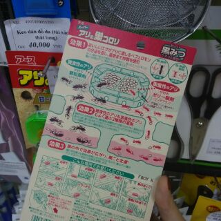 SET 2 DIỆT KIẾN NHẬT BẢN