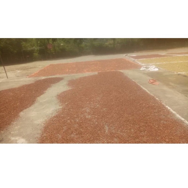 1kg Táo mèo khô | BigBuy360 - bigbuy360.vn