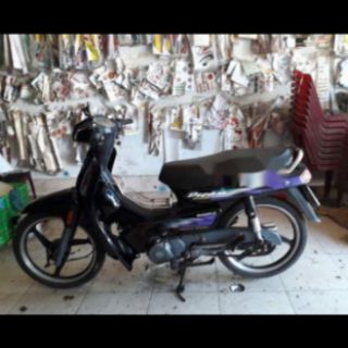 Đèn hậu dream lùn có bóng