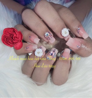 Hoa đậu 2 tầng Nail