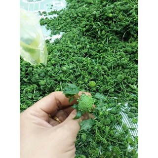 500g Nụ hoa tam thất khô