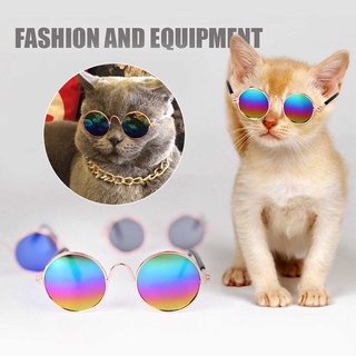 Kính râm cho thú cưng siêu ngầu 😎