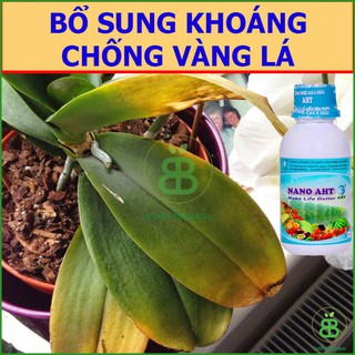 Phân Bón , Vi Lượng Nano AHT, Khắc Phục Bệnh Vàng Lá Cho Cây, Ngừa Bệnh Hiệu Quả - Chai 100ML