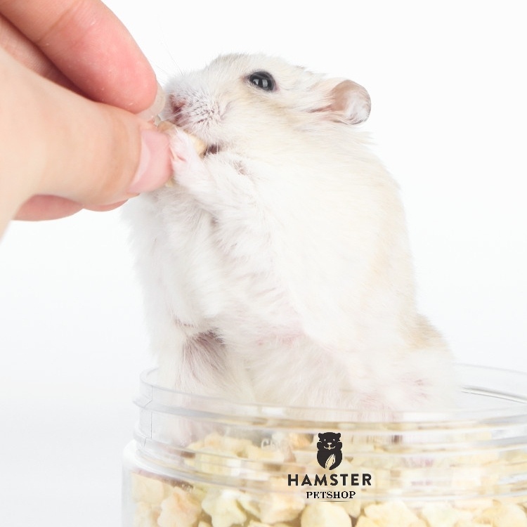 Táo sấy khô - Thức ăn hamster, thỏ, bọ, sóc