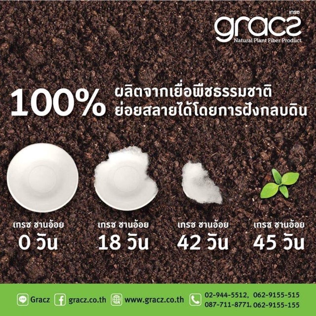 Lốc 50 hộp bã mía 600ml Gracz bảo vệ môi trường | BigBuy360 - bigbuy360.vn