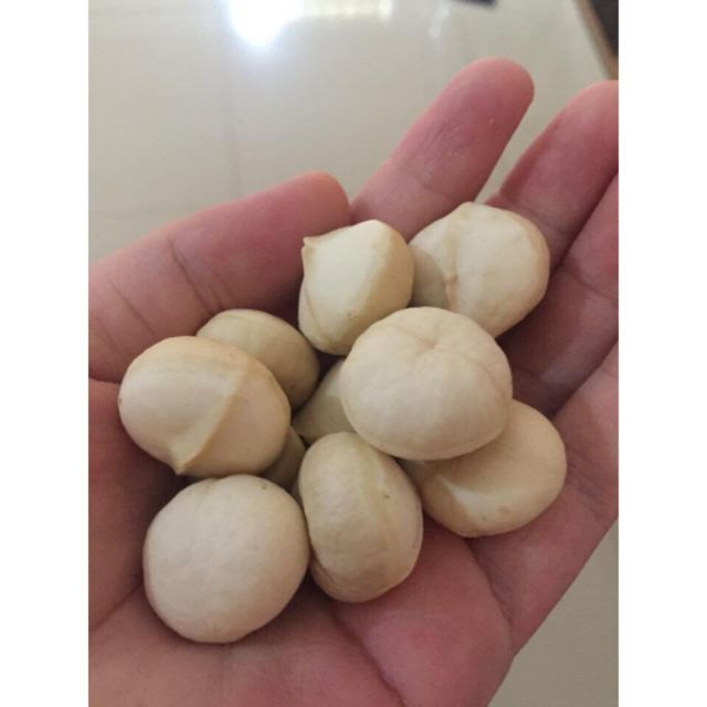 Hạt Macca sạch Đăklăk loại đặc biệt ( hạt size to, đều, mới nhất, bao đổi trả, kèm tách hạt )