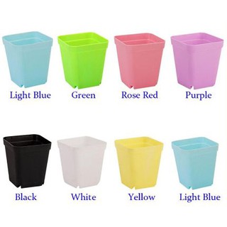 Combo 10 chậu nhựa vuông (7*7 cm)