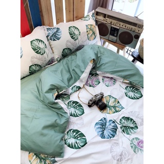 Bộ chăn ga gối nệm cotton poly 2018