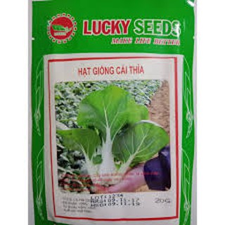 Hạt giống rau cải thìa (20G)