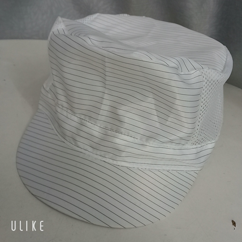 Nón lưới phòng sạch chống tĩnh điện TRẮNG-  XANH cao cấp cho công nhân