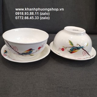 tô sứ - tô sứ trắng