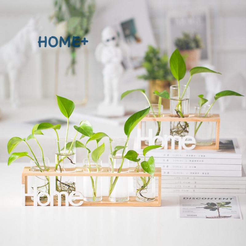 Đế gỗ cho lọ hoa thủy canh trang trí xinh xắn