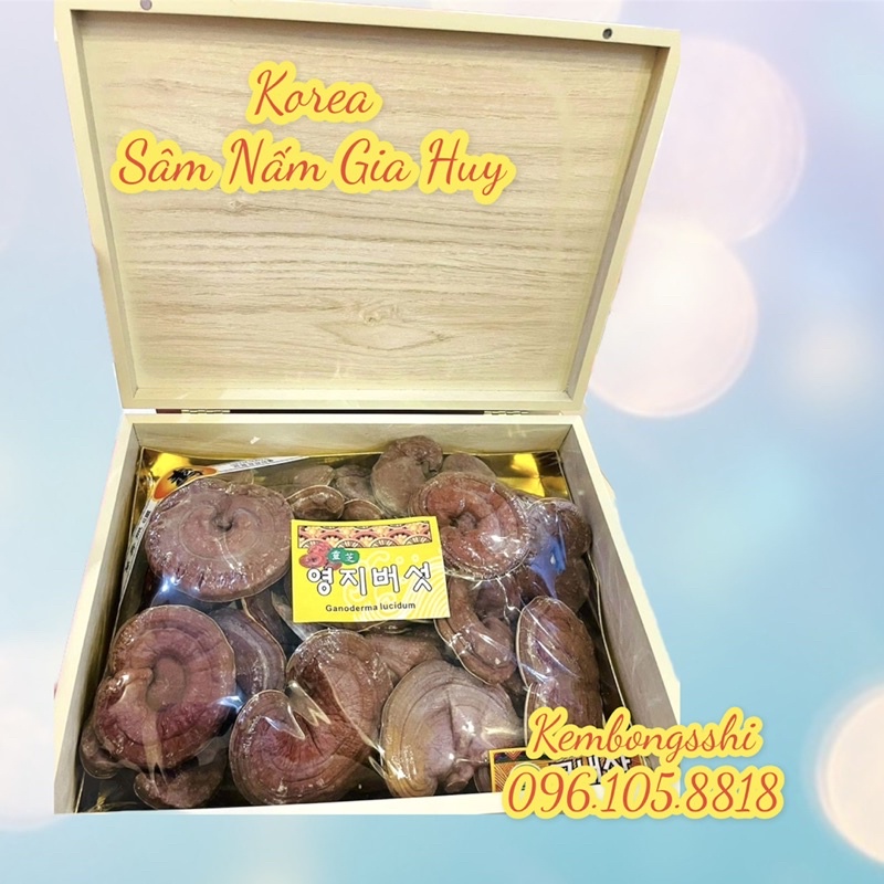 [DATE MỚI] Nấm Linh Chi Đỏ HÀN QUỐC, Hộp Gỗ 365 Sang Trọng