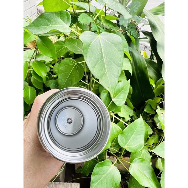 Bình giữ nhiệt inox Sunhouse 450ml