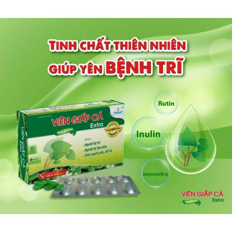 Viên Giấp Cá -táo bón, trĩ, suy giãn tĩnh mạch