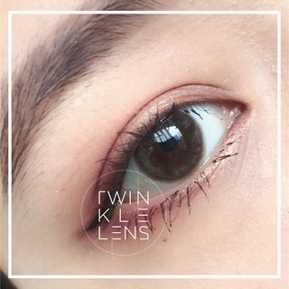 Kính áp tròng/Lens Maple Gray