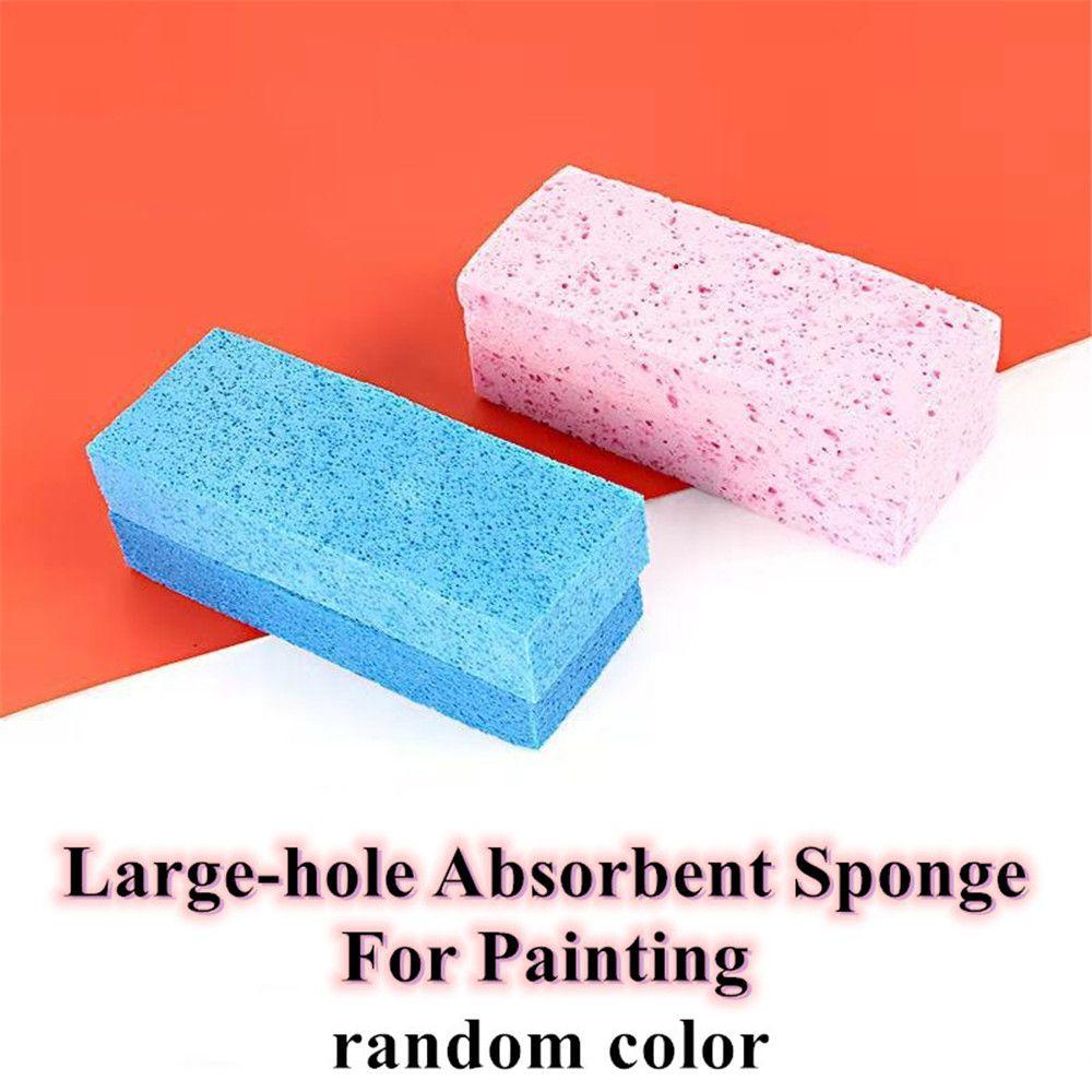 Daphs Mút Thấm Hút Nước Dùng Vẽ Tranh Nghệ Thuật