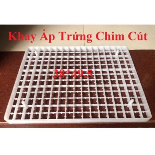 khay ấp trứng chim cút - loại 221 quả