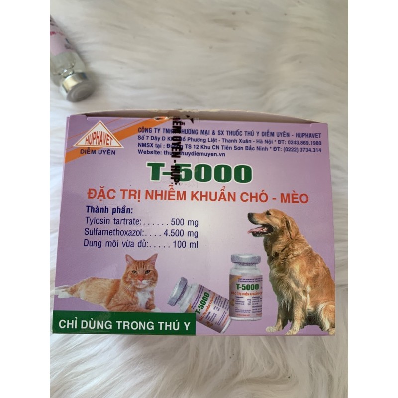 10ml T5000 - tiêu chảy, viêm phổi - dùng tốt cho chó, mèo