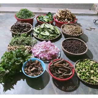 dầu gội thảo mộc sóc thóc