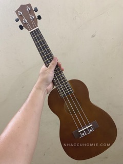 ĐÀN UKULELE CONCERT 23INCH FULL MÀU
