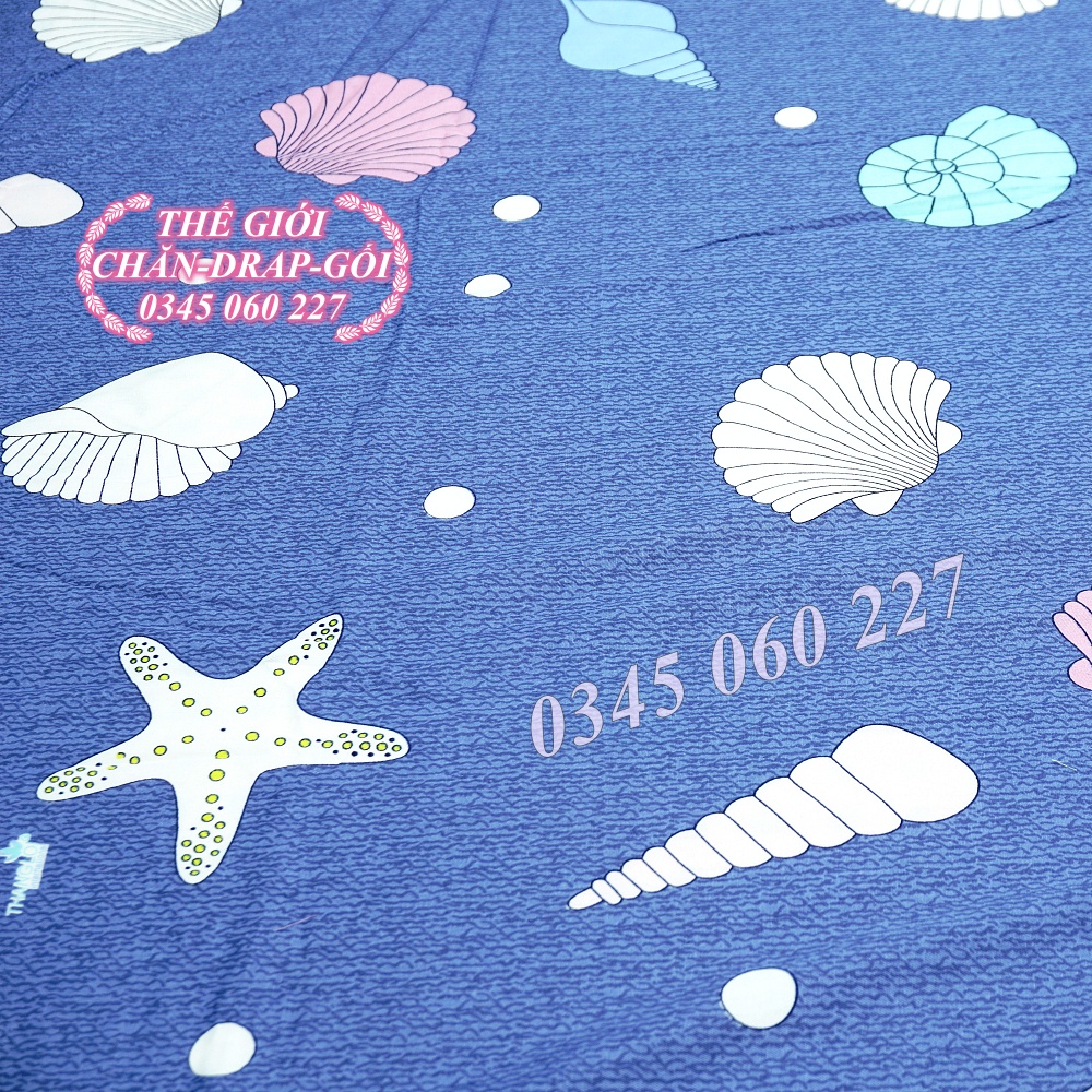(RẺ VÔ ĐỊCH) Drap cotton Thắng Lợi, ga trãi giường (4 món) có in logo chính hãng SÒ BIỂN