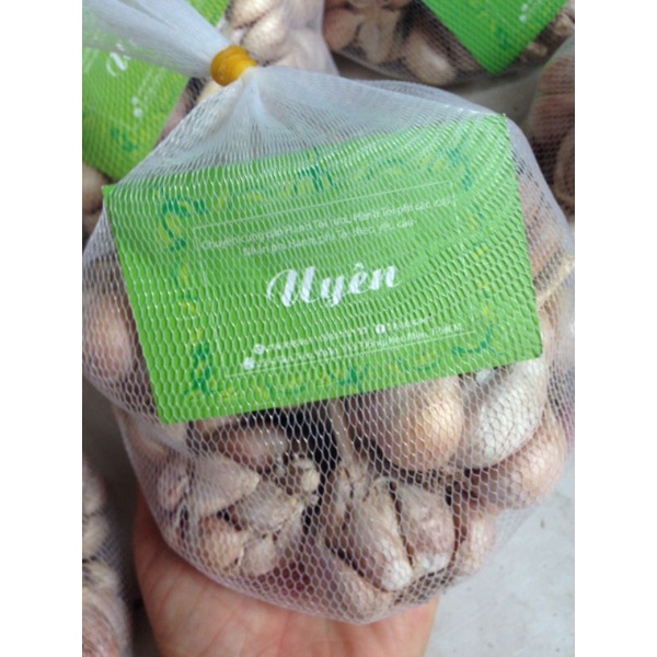 Tỏi Hà Nội ⚡ GIÁ ƯU ĐÃI ⚡ 1kg tỏi thủ đô chất lượng đảm bảo, hương vị thơm ngon