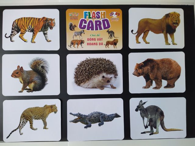 Thẻ học thông minh 18 chủ đề nhà phát hành Việt Hà M101736 kích thước 12x16cm tổng 256 thẻ 1 bộ
