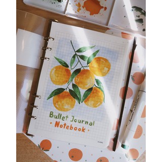 Sổ caro file nhựa kẹp còng a5 - 100 tờ ; ms: 994