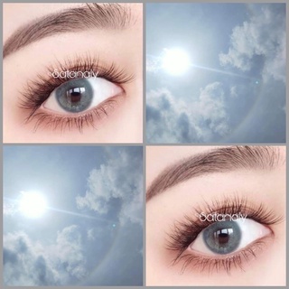 [HOT HOT] Lens Xám xanh Tây tự nhiên giãn vừa sử dụng 12 tháng