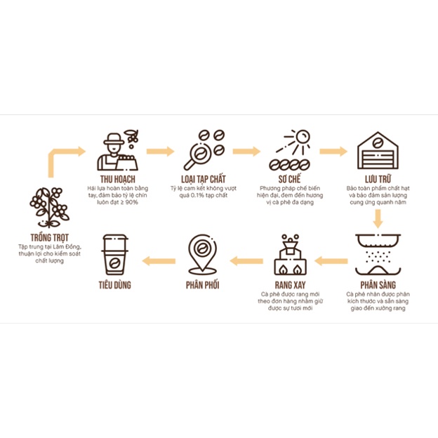 ĐẮNG NHẸ, CHUA THANH THƠM TRÁI CÂY - Cà Phê Arabica Cao Cấp Pha phin 100% nguyên chất, Ngon, Rang xay mộc từ AMOR COFFEE