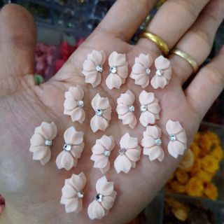 Hoa bột nửa bông( gạt ảnh xem màu)
