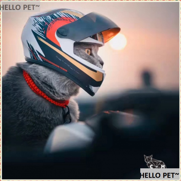 Mũ Bảo Hiểm Toàn Bộ Mũ Bảo Hiểm Phong Cách retro Cho Thú Cưng