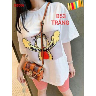đồ lửng thun thái dẻo B53