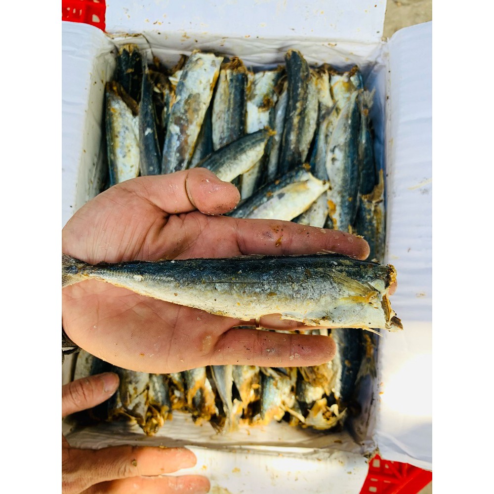 Khô cá nục loại ngon 1kg Thịt cá bao ngon. Cá săn chắc, thịt dai và thơm. Đảm bảo vệ sinh an toàn thực phẩm