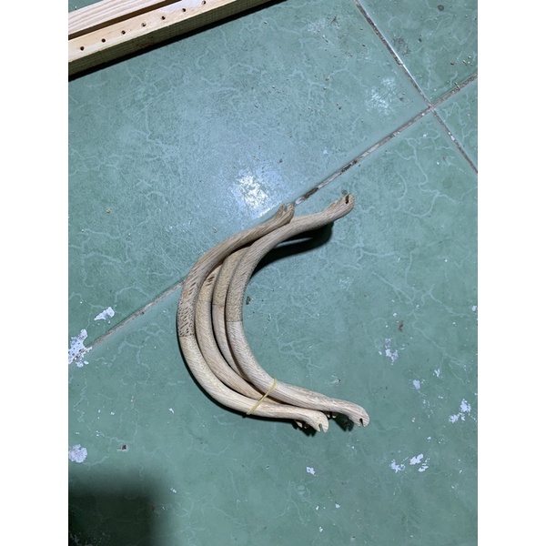 Cầu góc tròn tre chào mào