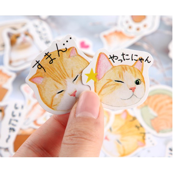 Bộ hình dán Sticker Mèo Con Đi Lạc 46 miếng đáng yêu trang trí tranh, sổ tay, planner