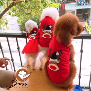 Áo noel cho thú cưng - áo noel cho chó mèo