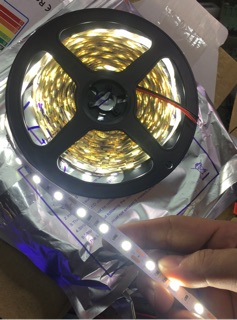 LED dây 5050 ko silicon 12v các màu