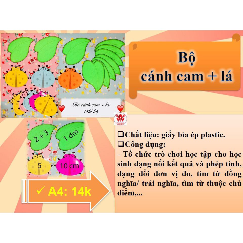 Bộ Cánh cam + lá - Đồ dùng dạy học Ruby