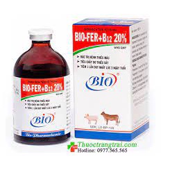 BIO-FER+B12 20ml. BỔ SUNG SẮT CHO HEO CON