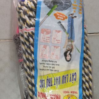 Cây lau nhà trần thức